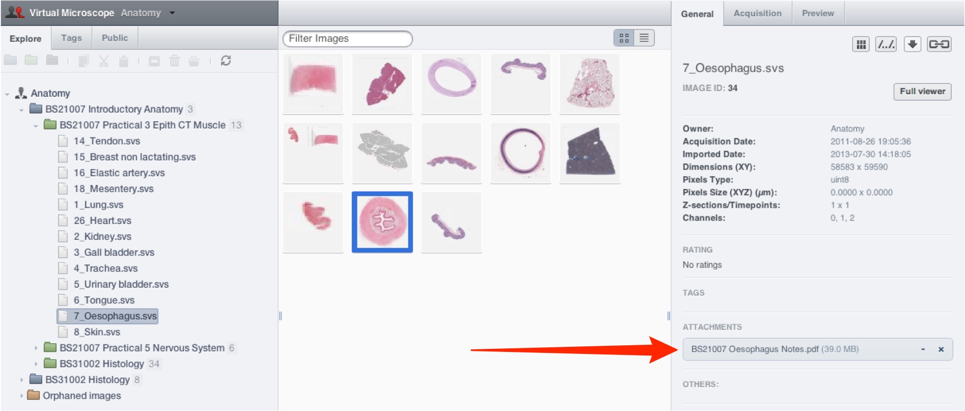 Virtual Microscope Getting Started