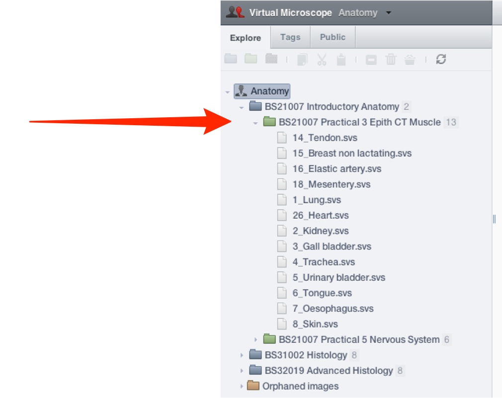 Virtual Microscope Getting Started