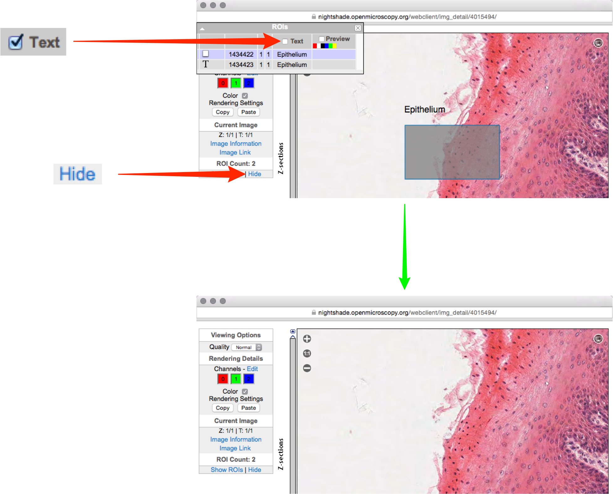 Virtual Microscope Getting Started