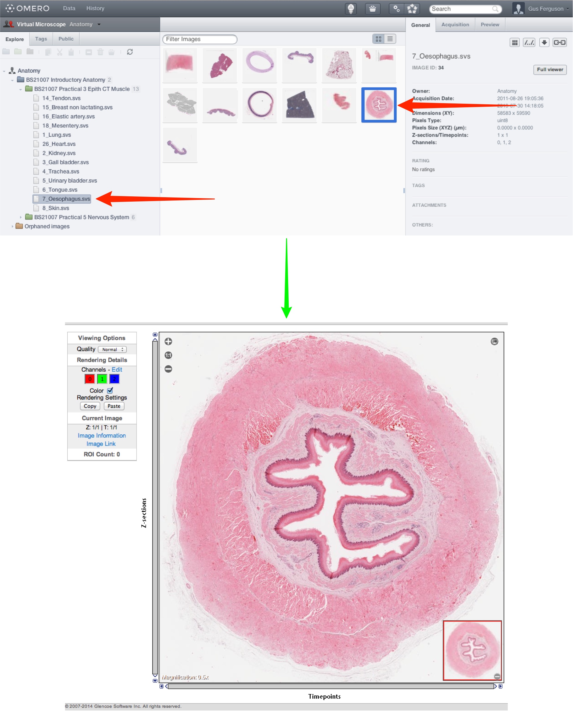 Virtual Microscope Getting Started