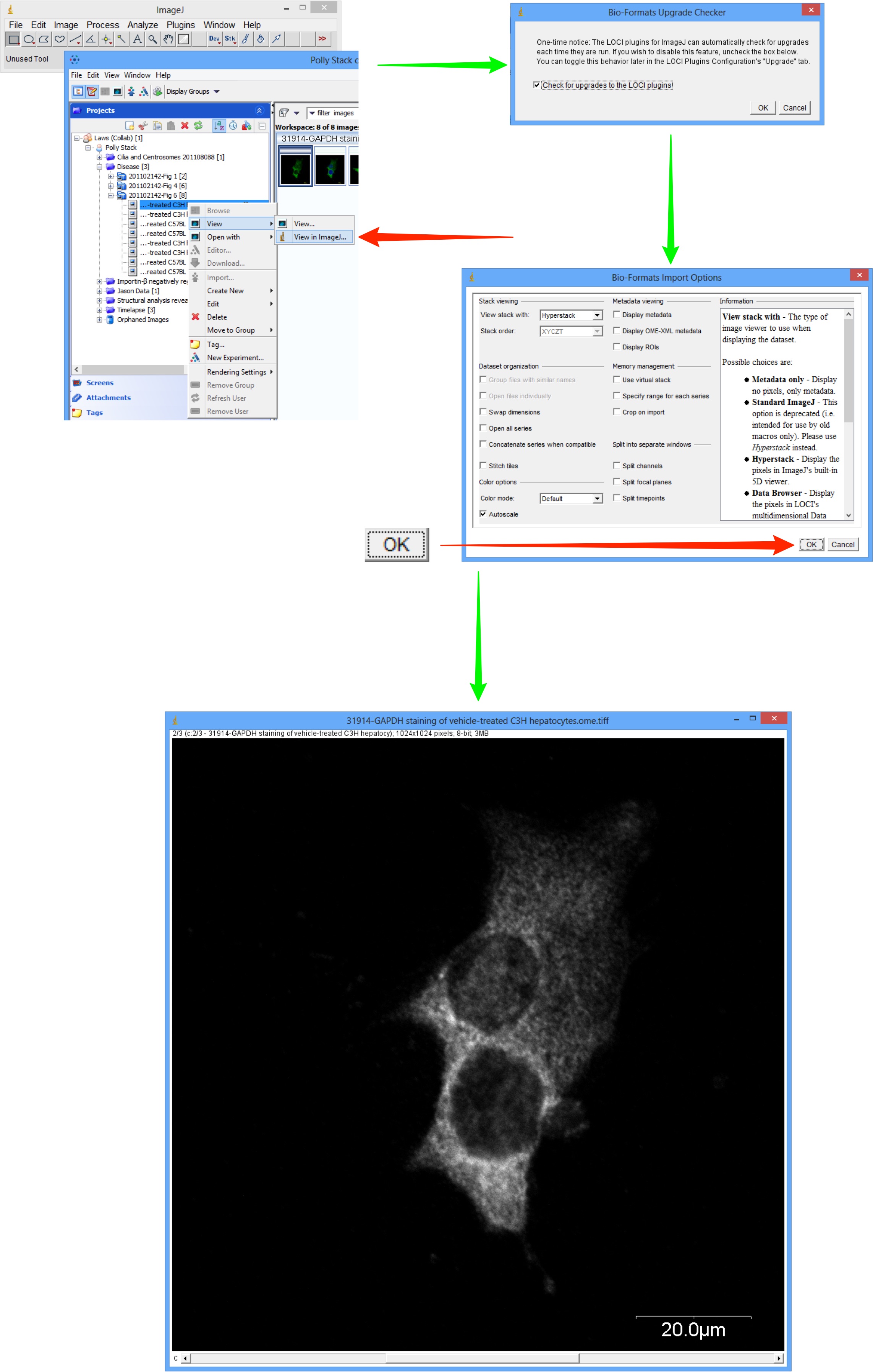 Using Imagej With Omero
