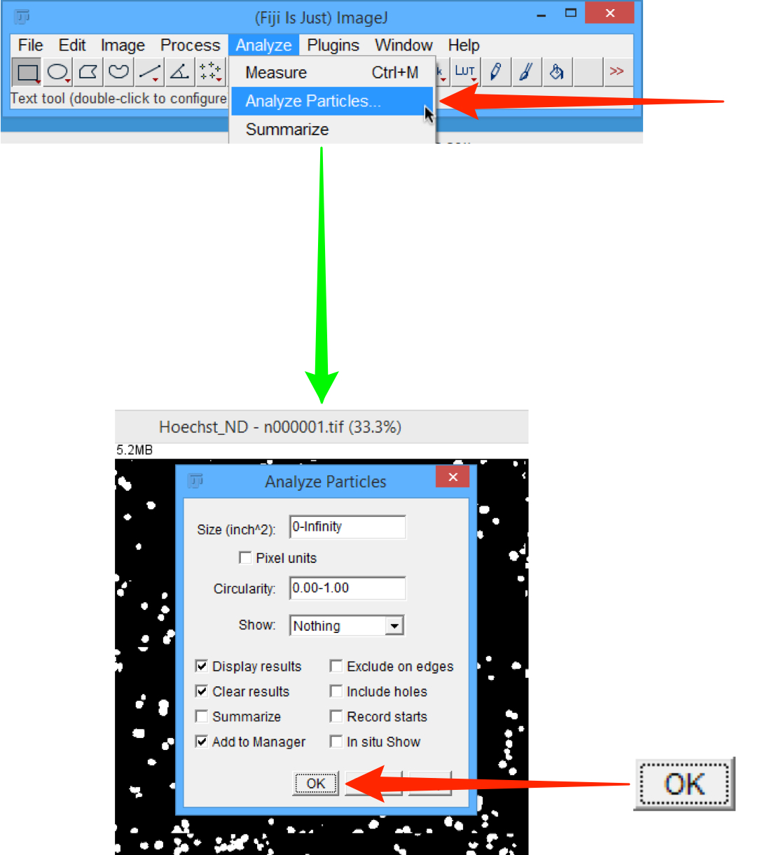 Fiji Omero Workflows